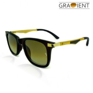 RayBan Wayfarer1